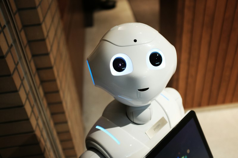 Robot and human vision